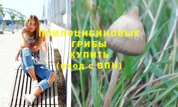 spice Армянск